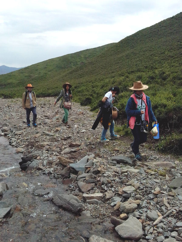 7��22�գ��m�ݴ�W�Gɫ�I�F꠹������c����?q��)����{(di��o)�С�꠆T������?sh��)ص��������f�ֲ����݈���r������ι�B(y��ng)���h(hu��n)��׃���ȷ����M���˴��µ��˽����D��꠆T���ڮ�?sh��)��M��ֲ����R������