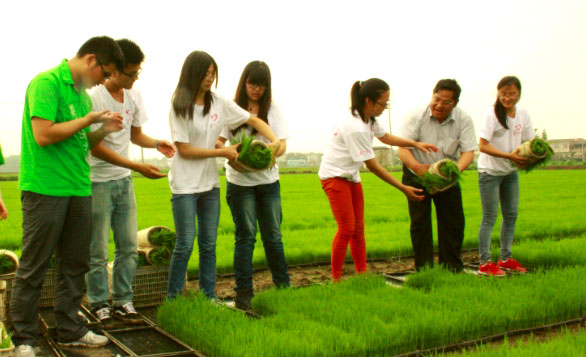 ��ꎎ����WԺ���Gɫ���ۡ����`�־Ը����ˮ�����g�M���w�ʽ������