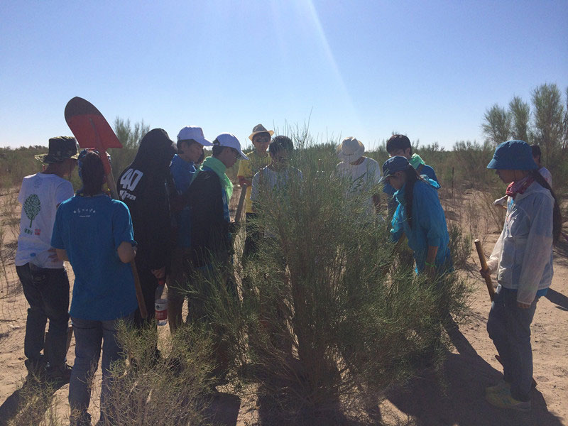 ������Ҫ��һ���ļ��ɺͽ�(j��ng)�(y��n)��ͬ�W(xu��)���_ʼ������һƬ�����ַ��ز����^�m(x��)�����[�ص�����