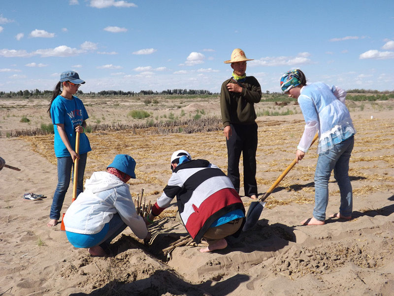 �@�N1.5��Ҋ�������ݸ�������ɳЧ����á����^4��5���͕��L�g��������Ҫ�����a����