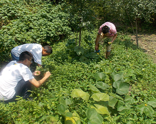 �ڶ�����꠆T���_ʼ�������B(t��i)�r(n��ng)���w��r(n��ng)�����������ժ����