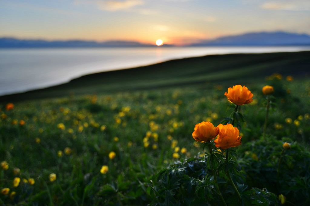 ���(hu��)�����l(xi��ng)�ĸ����