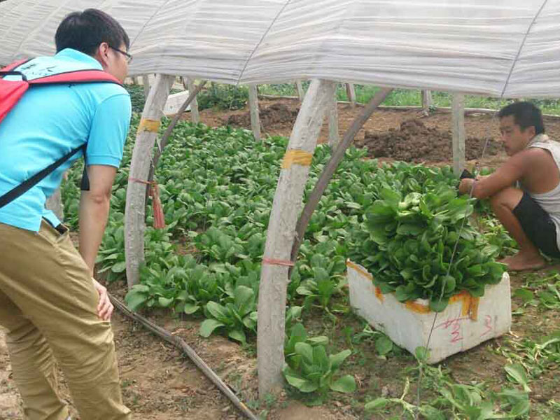 ��(sh��)�`�(du��)�T�c��(d��ng)?sh��)��r(n��ng)��e�O��ͨ������(d��ng)������}���˽��߲˴�������P(gu��n)��r��