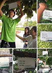 �K���r(n��ng)�W(xu��)Ժ�O(sh��)Ӌ(j��)У�@ֲ����Ƭ�������K�r(n��ng)�Gɫ���}