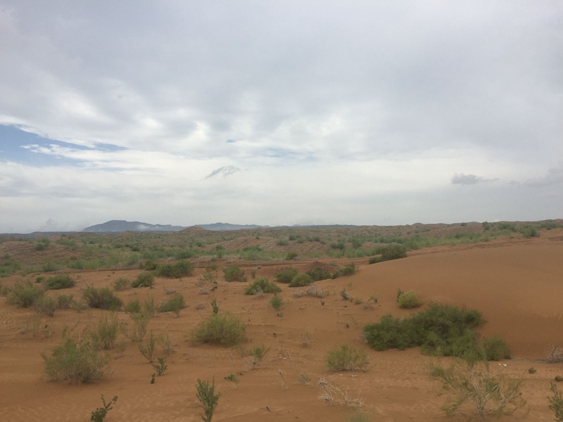 �v����ɳĮ�޾W(w��ng)������ݷ����ﲼ�M�[�d��ɳ��ֲ����