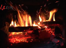 �t��t����~�ף�������ʳ���ρ�