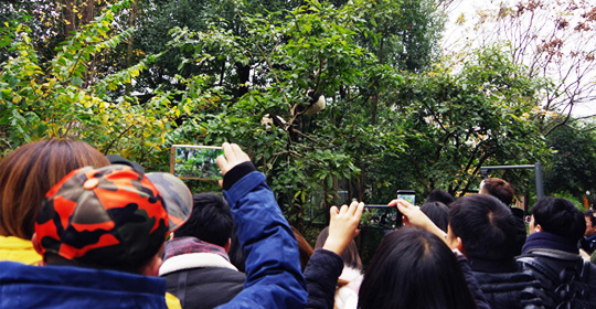 �@�����ӵ������ɶ����W(w��ng)�j(lu��)���ˁ�(l��i)�c(di��n)ٝ