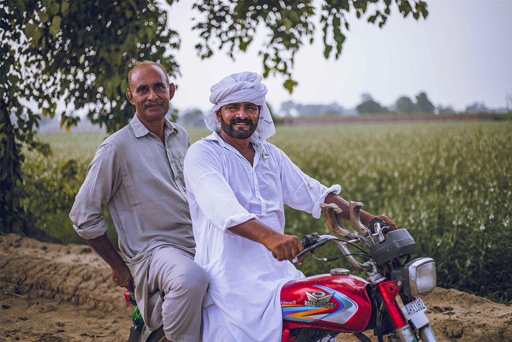 芝麻種植基地給當(dāng)?shù)厝藥砀嗑蜆I(yè)機(jī)會。（人民網(wǎng)記者 薛丹攝）
